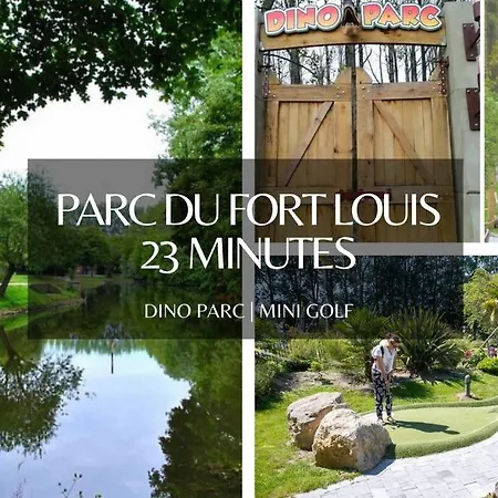 *L'Oasis Du Coeur De Ville*Spacieux Et Moderne Gravelines Esterno foto