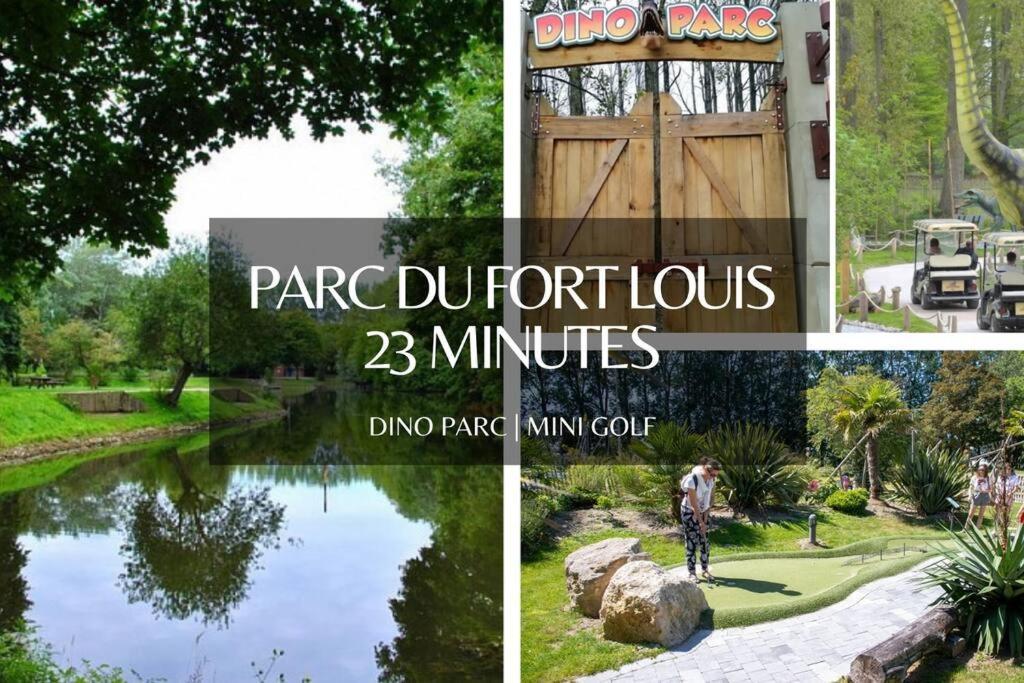 *l'oasis Du Coeur De Ville*spacieux Et Moderne Apartment Gravelines