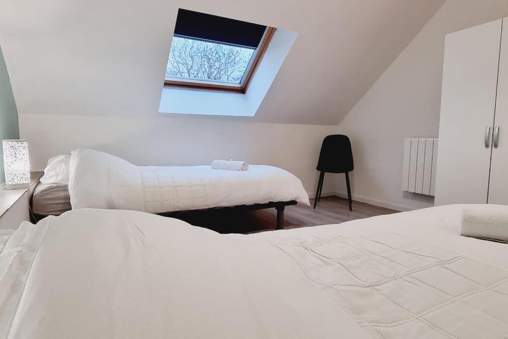 *l'oasis Du Coeur De Ville*spacieux Et Moderne Apartment