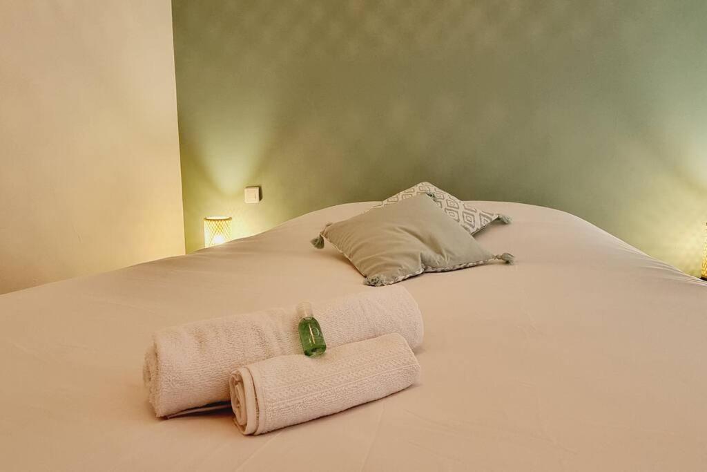 *l'oasis Du Coeur De Ville*spacieux Et Moderne Apartment